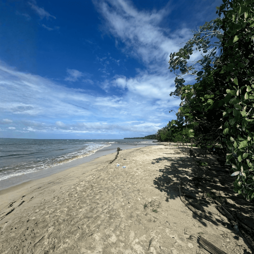 Investing in Costa Rica’s Caribbean: Why Americans Are Choosing Limón Over Guanacaste