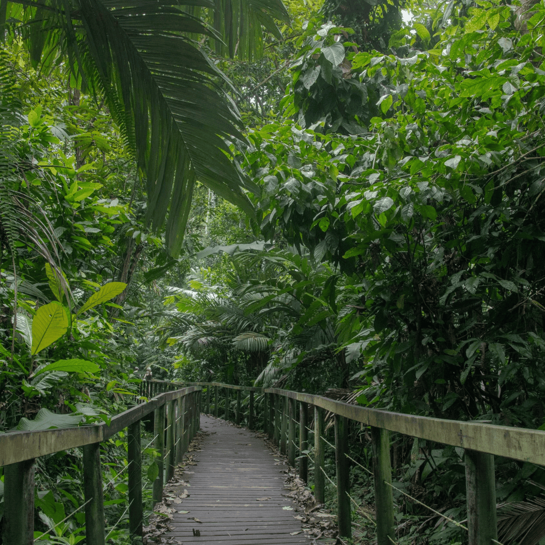 Impact Investment: Limón’s Real Estate Growth After Port Modernization